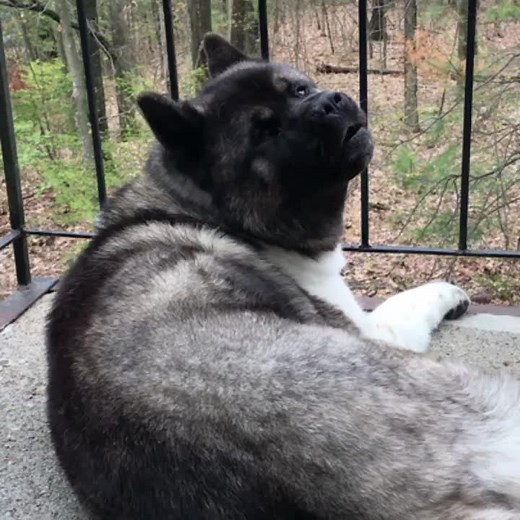 Matty Thomson on TikTok