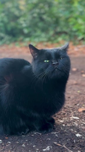 The Shipping Forecast Explained for Beginners