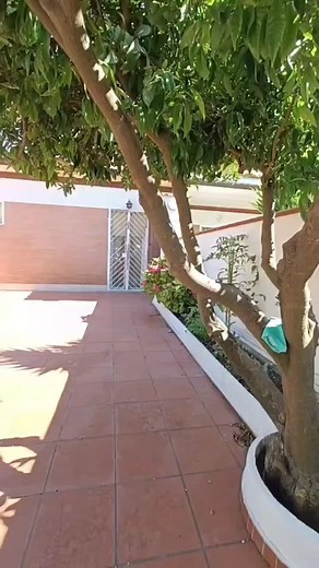 🏡 Terracina – Porzione di villa in quadrifamiliare a 150 metri dal mare 🌊✨ Cerchi una villa ampia e luminosa vicino al mare a Terracina? Questa soluzione è perfetta come prima casa o residenza per le vacanze! La villa, di 110 mq su due livelli, offre: ✨ Piano terra: Ampia zona living con camino Cucina funzionale Bagno con doccia Ripostiglio ✨ Piano notte: Camera matrimoniale con balcone Due camerette Bagno finestrato con vasca All’esterno trovi un giardino angolare curato, in parte mattonato, 