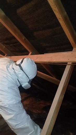 climb in the loft with us #fyp #diy #renovation #budgetrenovation #newhome