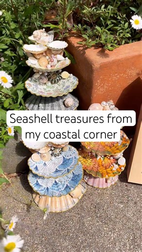 Seashell Treasures From My Coastal Corner 🐚🩵 #shorts
