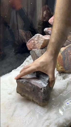 4 Feet African Cichlid Tank Setup