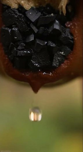 Clay Pot Water Filter: Nature's Purification System