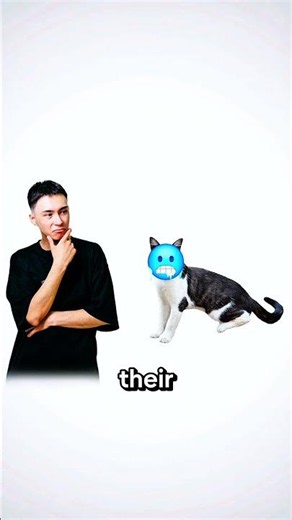 The Reason Why Most Cats Hate Water 😮