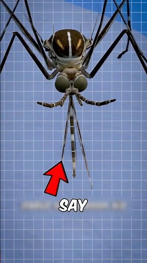 Why Mosquitoes Are The Deadliest Animals 😳