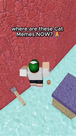 Rolbuxe | Where Are These Cat Memes Now Part 3 #roblox #robloxrant #rblx #relatable | Instagram