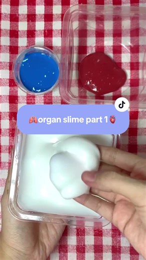 Membuat Organ Slime: Tutorial Meriah dan Kreatif