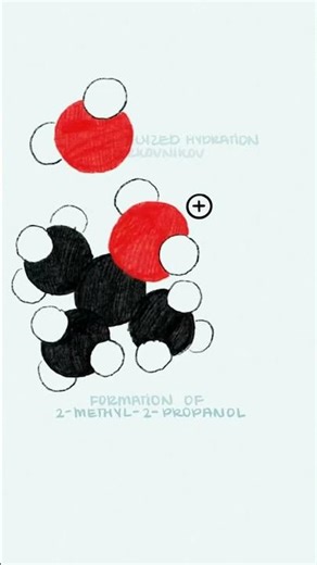 Acid-Catalyzed Hydration of Alkenes - Organic Chemistry Reaction Animation #orgochem