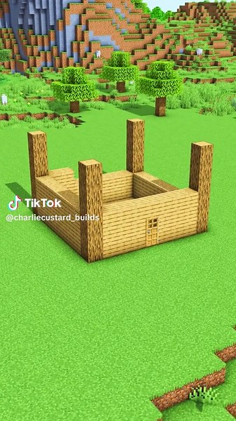 Starter House 69: Your Ultimate Minecraft 3D Guide