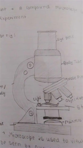 class 9th experiment 1 microscope compound
