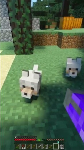 minecraft ray tracing test