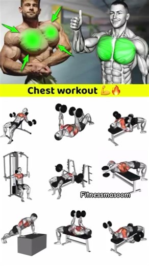 Full chest workout