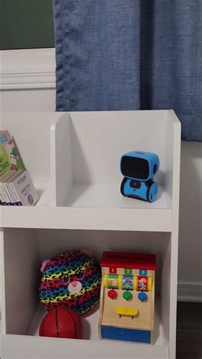 Kids Toy Storage & Bookshelf (2025) | Clean Playroom in Minutes!