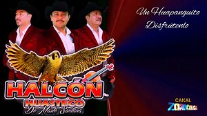 15K views · 727 reactions | Trio Halcón Huasteco De Marte Santana Oficial | CANAL ::: Mexico Impulsando La Música Huasteca | Facebook