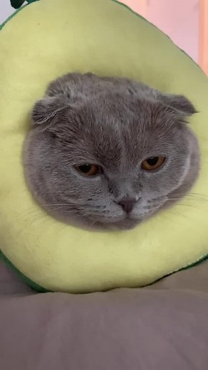 Stormi.fold on TikTok