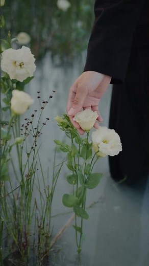 🎵 Wala Pela - Kasun Kalhara | New Sinhala Song 2024 | Official Music Video | Utopian Groovy