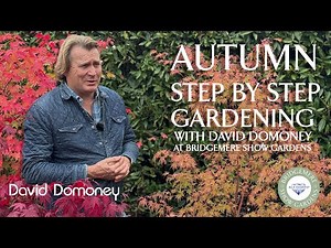 Easy November Step-by-Step Gardening with David Domoney at Bridgemere Show Gardens
