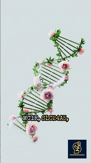 The Evolution of Human Skin Color: Genes, UV & Migration #SkinColor #Genetics ##Migration