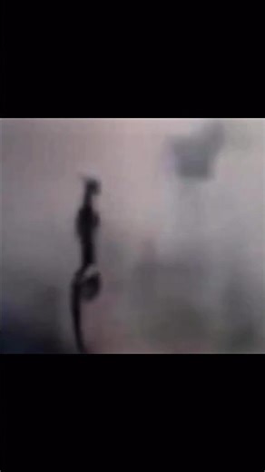 Reality of Dragon 🐉 | Were Dragons Real? #dragon #mythology #ancientmystery