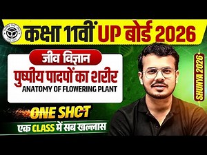 Class 11 Biology Chapter 7 ll Anatomy of flowering plant in One Shot || UP BOARD