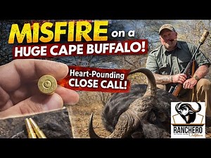 Cape Buffalo Misfire at 15 Yards | Dangerous Game Hunt Africa