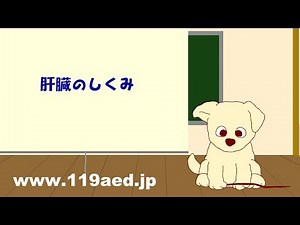 [5]肝臓のしくみ