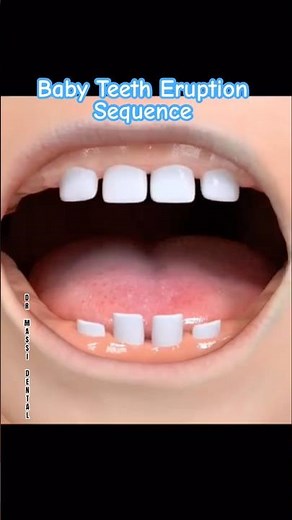 Baby Teeth Eruption Sequence