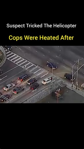 Suspect Tricks Helicopter #shorts #police #copwatch