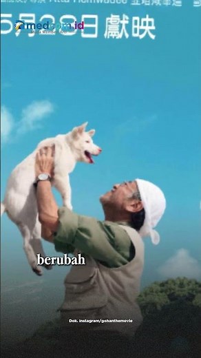 Synopsis of Gohan, the Story of a Wild Dog Searching for the Meaning of Home #shorts