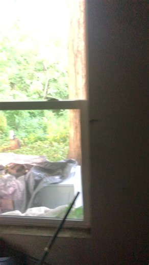 c🦄😼 (@ch103..y3s)’s videos with your love is my drug - amy🪐