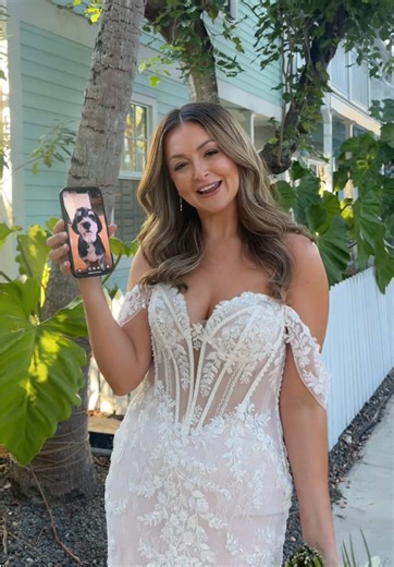 Fun Moments with Our Bernedoodle in Key West