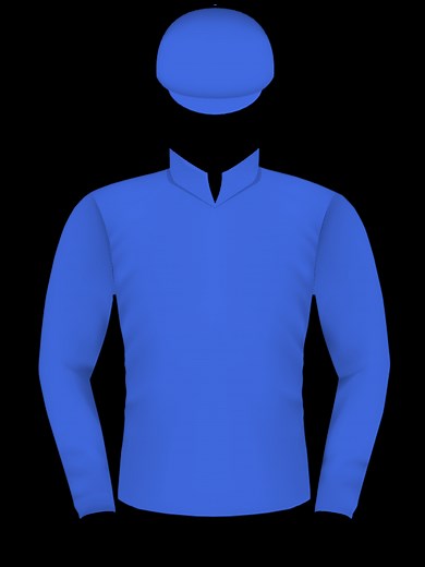 Blue Diamond Stakes 2027 Field, Tips, Betting Odds, Results