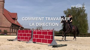 Exercice pour travailler la direction et la confiance 🙈 Épaules derrière, mains de chaque côté du garrot, regard au loin, on garde les jambes et on voit ce qu'il se passe ! N'oubliez pas de faire attention à la répartition du temps passé à chaque main pendant ces petits exercices. Une fois à gauche... une fois à droite ! | Equisense