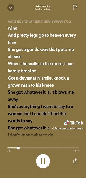 Whatever It Is - Zac Brown Band #countrymusic #music #artist #addtoplaylist #spotify #fyp