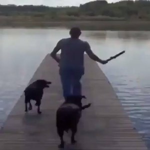 Love this video | The Animal Zone