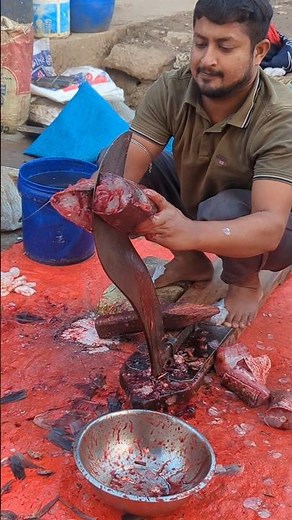 wow expert fish cutting world viralshorts