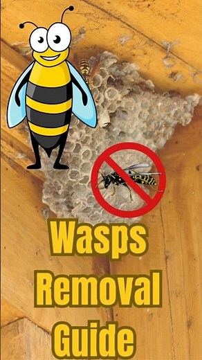 GET Rid of Wasps FAST with This Effective Removal Guide