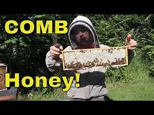 $$$ Making Premium COMB Honey! First Attempt!