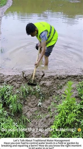 Adjusting Paddy Water Level – Cutting the Bank with a Hoe 💧