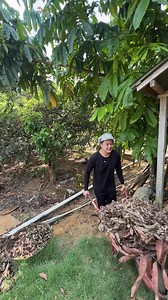 Sambil nyemil enak | Denis Matthew Channel