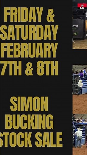 This week on Horse Auctions USA! #horses #buckingbulls #buckinghorse #horsesale #horseauction
