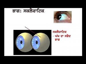 Science c10 Structure of Human Eye