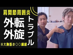 【臨床編】肩関節の外旋・外転トラブルは大胸筋の◯◯繊維