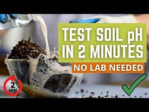 Test Your Soil pH in 2 Minutes With Just Vinegar (No Lab Needed)