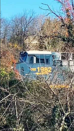 CSX 1982 “Seaboard System” Heritage on M407-16! #csx #heritageunits #railfanning #railroad #shorts