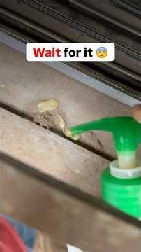 Why no one told me about this before? - This gap filler brush can clean all your corners of the home