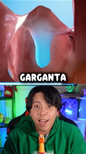 Pra que Serve essa Coisa na Garganta 🤔