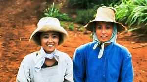 Picture Bride | Netflix