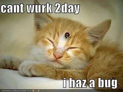 Biotic and Abiotic Factors