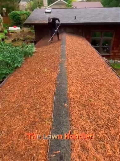 Essential Lawn Care Tips for a Clean and Relaxing Garden